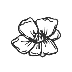 Vector strawberry plant flower line art illustration, hand drawn floral outline drawing, botanical monochrome sketch.