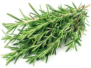 Fototapeta premium Fresh rosemary sprig with vibrant green leaves, ideal for culinary use and enhancing flavors in various dishes.