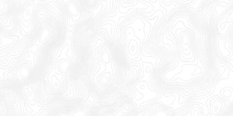 Topography and geography map grid line geometric contour map, Line topography map seamless pattern with abstract black geometric stripes, Abstract vector illustration of contour map with lines.