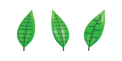 Fototapeta premium Leaf of tree. Ecology, bio and natural environment concept icon set 3d render