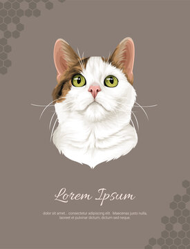 Vector Cat Breed Domestic cat 1 wall decor ideas Portrait