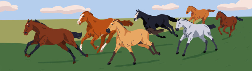Free horses running, galloping on countryside field. Herd enjoying freedom of country pasture. Unbridled untamed stallions group in action in rural nature landscape panorama. Flat vector illustration