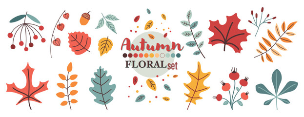Autumn leaves collection in flat design. Сute vector illustrations in trendy style. 

