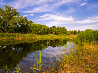 Backwater of Tisza river near Szeged