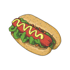 hotdog in vintage hand drawn style