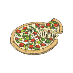 pizza in vintage hand drawn style