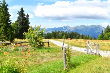 Route du lac b&eacute;nit