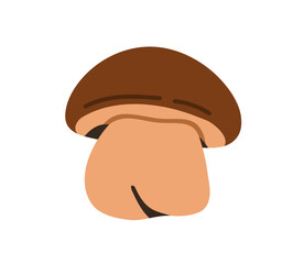 Obraz premium Boletus mushroom. Small porcini fungi, fleshy cap and stipe. Edible fresh organic natural food. Autumn fall forest fungus icon. Botanical flat vector illustration isolated on white background