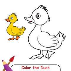 Color the Duck Bird drawing illustration. coloring book for kids. duck bird coloring page colored illustration
