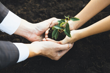 Businessman grow and nurture plant on fertilized soil with young boy as eco company committed to corporate social responsible, reduce CO2 emission and embrace ESG principle for sustainable future.Gyre