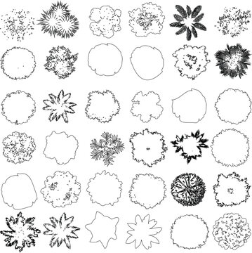 Tree top view outline vector illustration. Perfect for urban planning, landscape architecture, and design projects