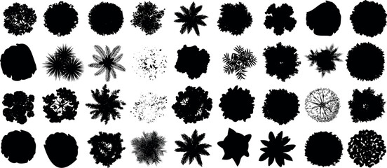 Tree top view silhouette collection, diverse foliage patterns, perfect Tree top view for architectural plan, landscape design, and urban planning visualization © Arafat
