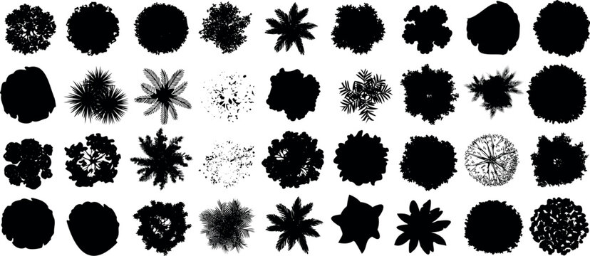 Tree top view silhouette collection, diverse foliage patterns, perfect Tree top view for architectural plan, landscape design, and urban planning visualization
