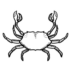 doodle illustration of crab. black and white color doodle for sticker or wallpaper. cute print design
