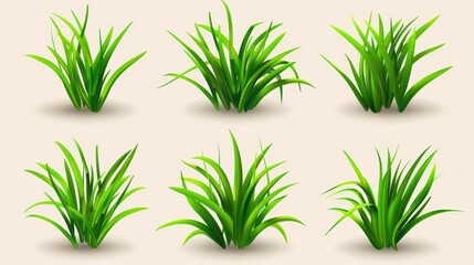 Fototapeta premium Explore a collection of grass design elements, perfect for enhancing your projects with fresh, vibrant illustrations. Ideal for nature lovers