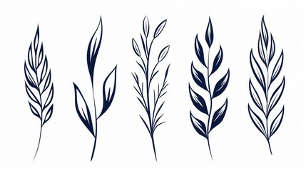 Explore a stunning collection of classical botanical illustrations, beautifully handdrawn and isolated on a crisp white backdrop.