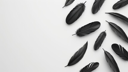 Delicate crow feathers drift gently, creating a striking contrast against a soft white backdrop, evoking tranquility and grace.