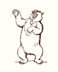 Vector drawing. An angry bear stands and growls