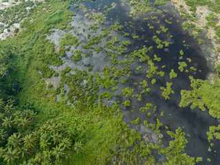 Aerial view of a large wetland or swamp in the morning