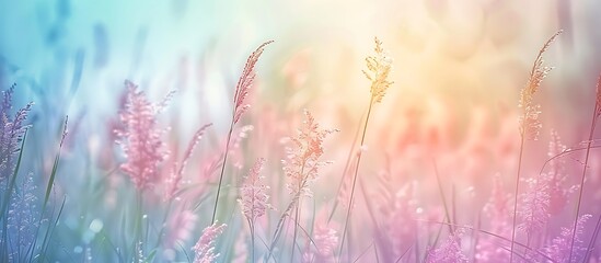 abstract nature background