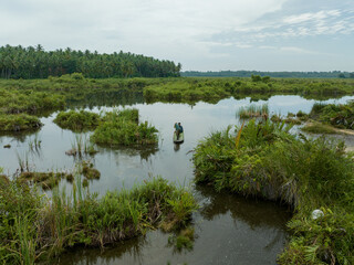 Aerial view of a man exploring the swamps using a small wooden rowboat in the morning