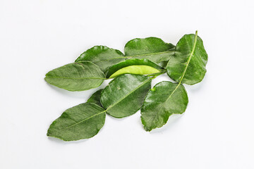 Aroma seasoning kaffir lime leaves