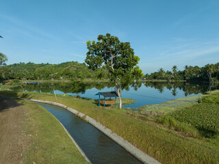 View of a large natural fish pond in Asia. View of a small, calm lake in Asia