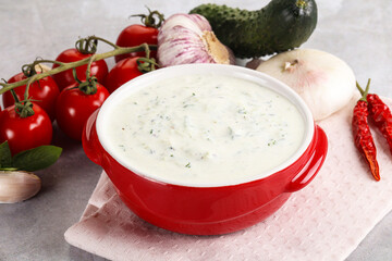 Traditional delicious appetizer; greek tzatziki (Turkish name; cacik)
