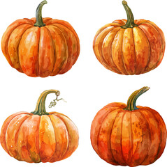 Pumpkins Watercolor Vector Illustration.