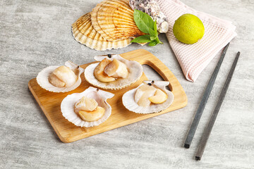 Raw natural scallop in its shell