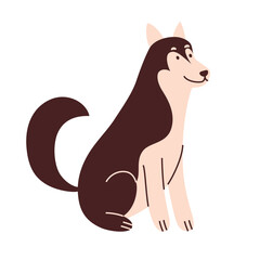 Husky dog vector illustration. Cute cartoon pet with markings and expressive eyes, adorable Alaskan Malamut puppy for animal lovers, pet shops, and veterinarians. Domestic animals flat design