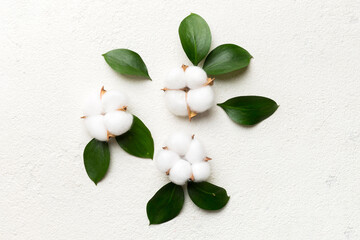 Autumn Floral Flat lay background composition. Dried white fluffy cotton flower branchwith green...