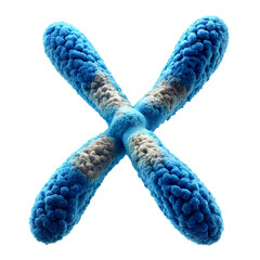 chromosome