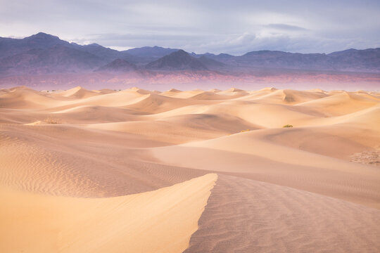 Mesquite Sand Dunes at Sunset in Death Valley National Park Cali