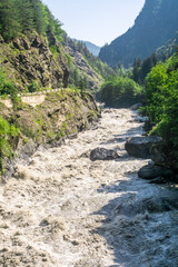 A muddy mountain river flows among trees, rocks and bushes. Huge stones in the riverbed. Mountain landscape in the background