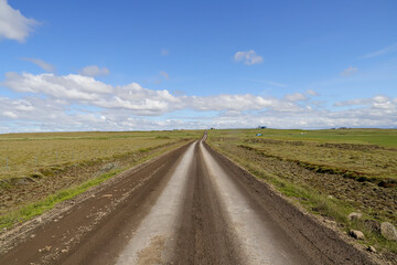Road in the south of Iceland, on a summer day with blue sky