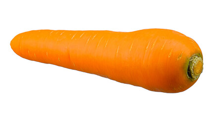 Carrot isolated on white background