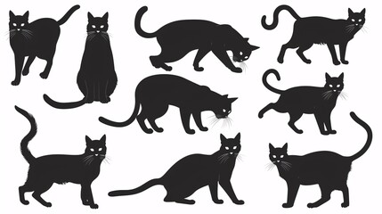 Obraz premium Collection of shadow felines in various stances, artwork separated on blank backdrop.