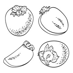 Whole and sliced persimmon set isolated on white. Black line hand drawn sketch, dots texture. Vector clipart for fruit and harvest illustration, food design, coloring book.