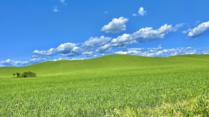 A landscape with a large lawn and hills and a blue sky with few clouds.