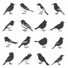 Obraz premium Bird icon set, black and white sparrow symbols, bird sign collection, wild animal pictograms on white