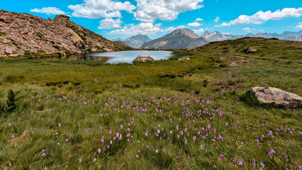 Fototapeta premium Panoramic view of the Ibón near Glera in Formigal, with the impressive Pyrenean peaks, including Culivillas, and the proximity to the Ibones de Anayet. 