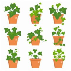 Fototapeta premium English Ivy Pot Plant Icon Set, Hedera Helix Plant Flat Design, Abstract Ivy Symbol, Simple Pot Flowers