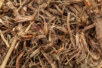 Close-up of Dry Organic Pellitory or Akarkara roots (Anacyclus pyrethrum), Full-Frame wallpaper. Top View