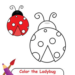 Color the ladybug drawing illustration. coloring book for kids. ladybug insect coloring page colored illustration