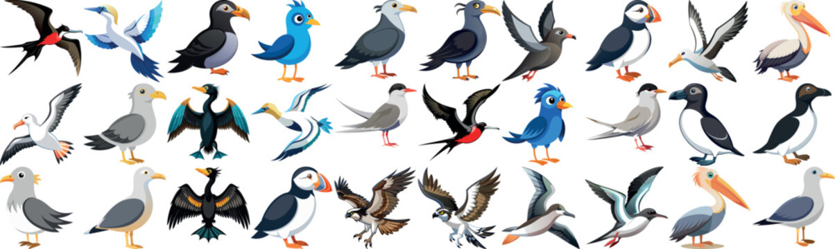 Vibrant assortment of cartoon seabirds featuring different species and poses. Ideal for educational purposes, wildlife projects, and creative designs.