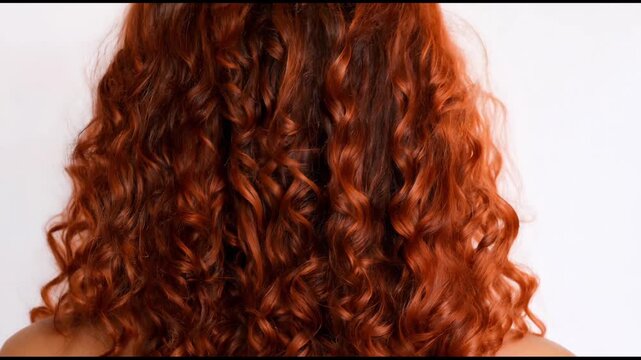 Beautiful Curly Red Hair on a White Backdrop.