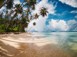 Untouched beautiful beach of Sikandang Island in Sumatra, where pristine sandy beaches meet crystal clear waters, framed by lush palm trees under a vibrant blue sky.