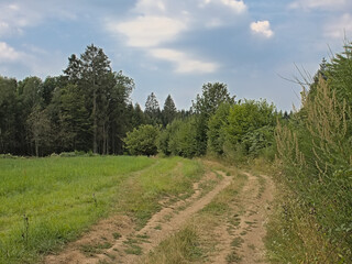 Trail through a sunny summer landscape in Ardennes, Wallonia, Belgium