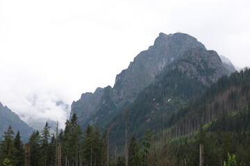 A high mountain of blue color against the backdrop of a bright white sky and thick white clouds....